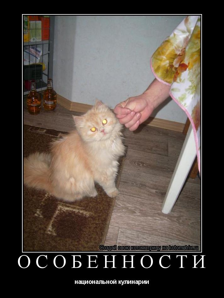 Особенности национальной кулинарии... Котоматрица: Особенности национальной кулинарии