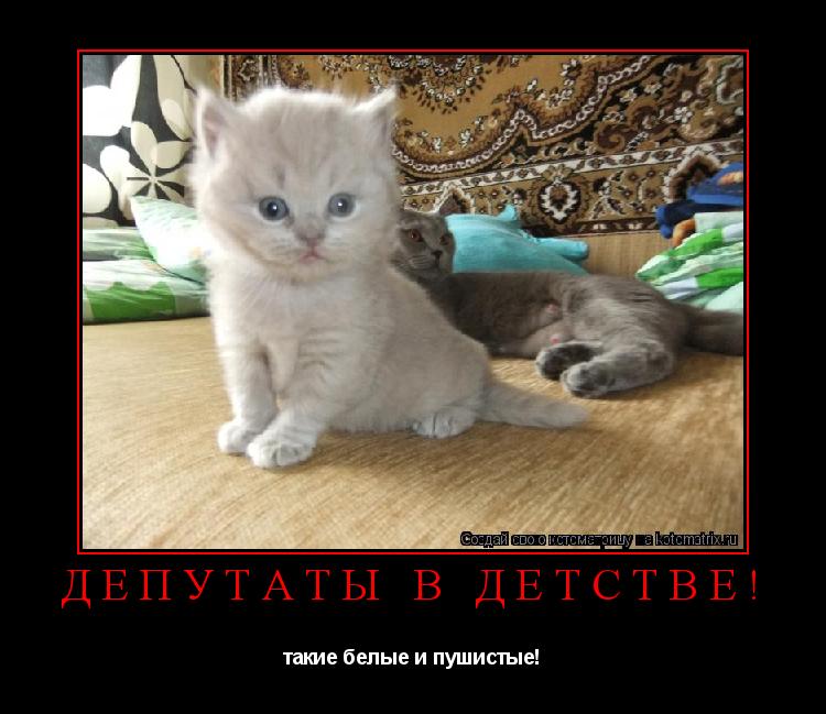 депутаты в детстве! такие белые и пушистые!... Котоматрица: депутаты в детстве! такие белые и пушистые!