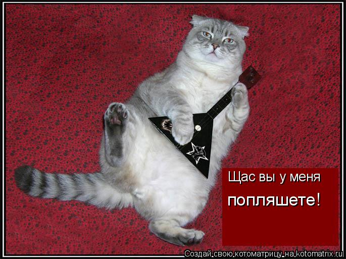 Щас вы у меня попляшете!... Котоматрица: Щас вы у меня попляшете!
