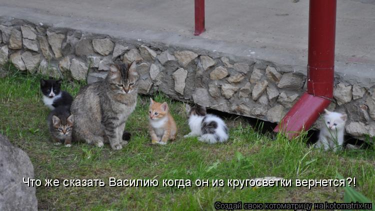 Что же сказать Василию когда он из кругосветки вернется?!... Котоматрица: Что же сказать Василию когда он из кругосветки вернется?!