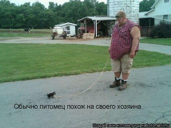 Обычно питомец похож на своего хозяина.... Котоматрица: Обычно питомец похож на своего хозяина.