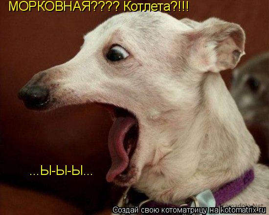 Котоматрица: МОРКОВНАЯ???? Котлета?!!! ...Ы-Ы-Ы...