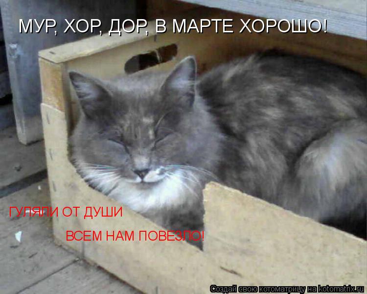 МУР, ХОР, ДОР, В МАРТЕ ХОРОШО! ГУЛЯЛИ ОТ ДУШИ ВСЕМ НАМ ПОВЕЗЛО!... Котоматрица: МУР, ХОР, ДОР, В МАРТЕ ХОРОШО! ГУЛЯЛИ ОТ ДУШИ ВСЕМ НАМ ПОВЕЗЛО!
