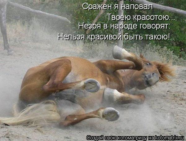 твоей Твоею красотою... Незря в народе говорят: Нельзя красивой быть такою!.. Сражен я наповал... Котоматрица: твоей Твоею красотою... Незря в народе говорят: Нельзя красивой быть такою!.. Сражен я наповал
