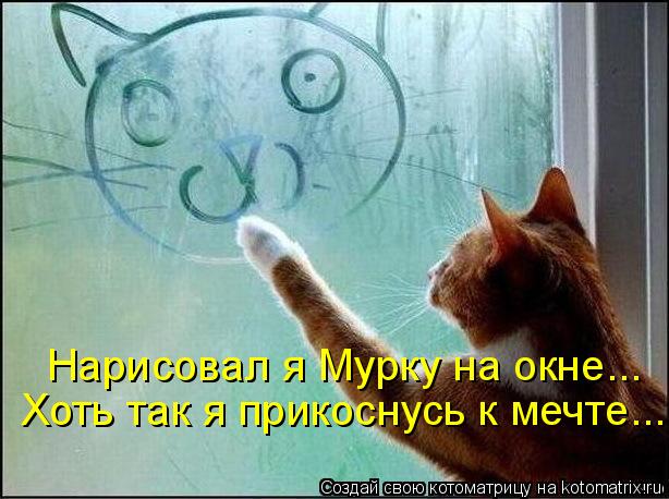 Нарисовал я Мурку на окне... Хоть так я прикоснусь к мечте...... Котоматрица: Нарисовал я Мурку на окне... Хоть так я прикоснусь к мечте...