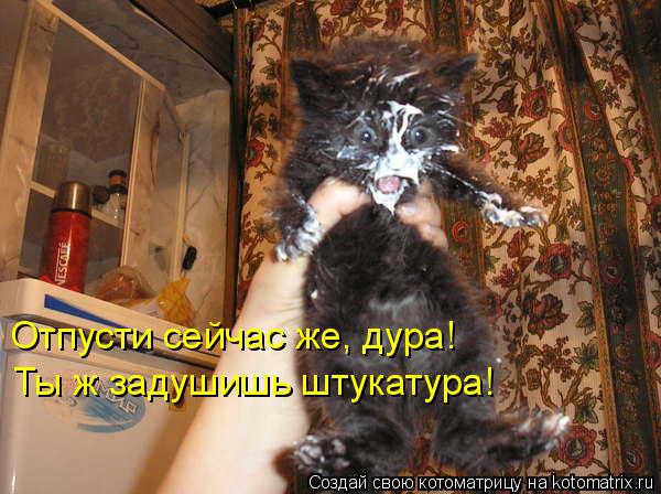 Котоматрица: Отпусти сейчас же, дура!  Ты ж задушишь штукатура!