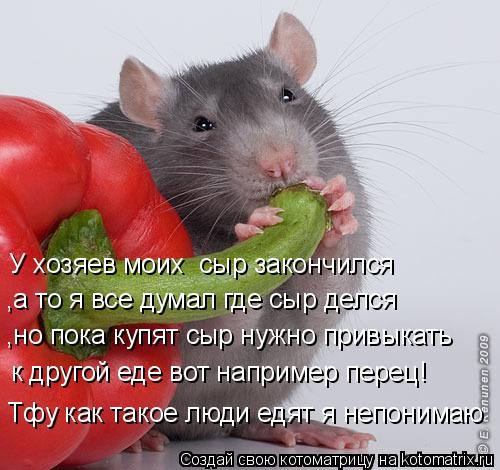 У хозяев моих сыр закончился ,а то я все думал где сыр делся ,но пока купят сыр нужно привыкать к д... Котоматрица: У хозяев моих сыр закончился ,а то я все думал где сыр делся ,но пока купят сыр нужно привыкать к другой еде вот например перец! Тфу как тако