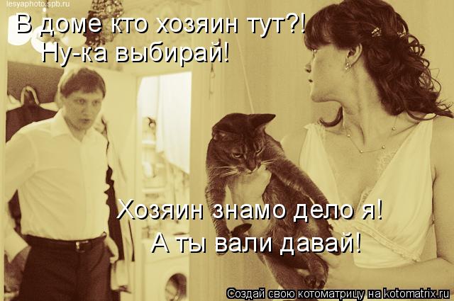 Котоматрица: В доме кто хозяин тут?! Ну-ка выбирай! Хозяин знамо дело я! А ты вали давай!