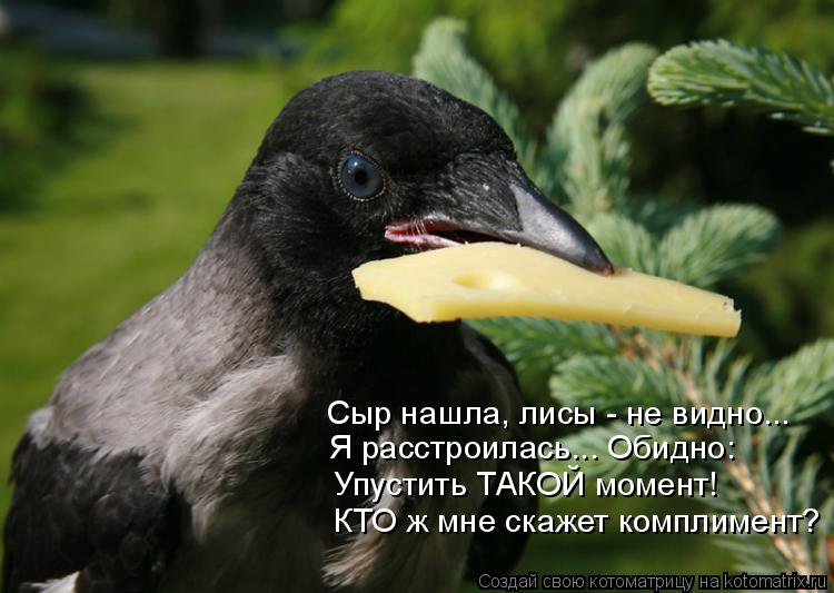 Сыр нашла, лисы - не видно... Я расстроилась... Обидно: Упустить ТАКОЙ момент! КТО ж мне скажет компл... Котоматрица: Сыр нашла, лисы - не видно... Я расстроилась... Обидно: Упустить ТАКОЙ момент! КТО ж мне скажет комплимент?