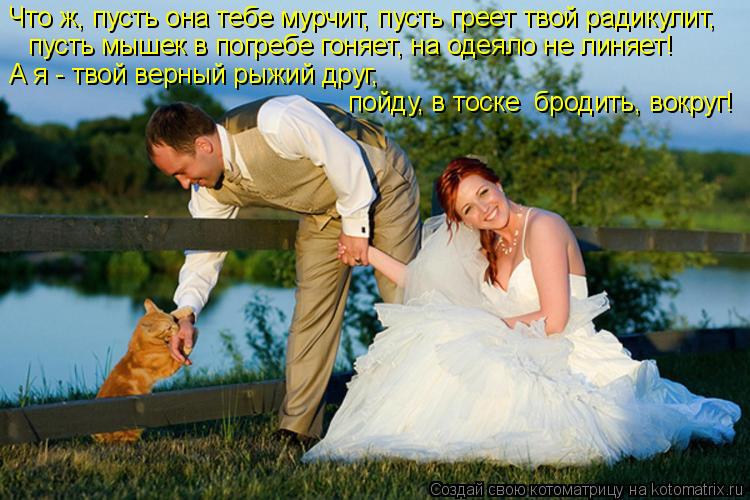 Котоматрица: Что ж, пусть она тебе мурчит, пусть греет твой радикулит,  пусть мышек в погребе гоняет, на одеяло не линяет! А я - твой верный рыжий друг,  пойд