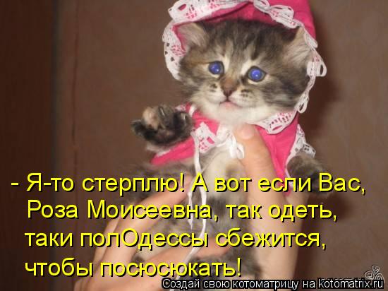 - Я-то стерплю! А вот если Вас, Роза Моисеевна, так одеть, таки полОдессы сбежится, чтобы посюсюкать!... Котоматрица: - Я-то стерплю! А вот если Вас, Роза Моисеевна, так одеть, таки полОдессы сбежится, чтобы посюсюкать!