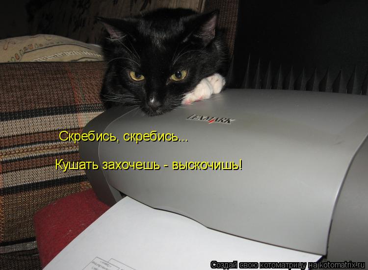 Котоматрица: Скребись, скребись...  Кушать захочешь - выскочишь!