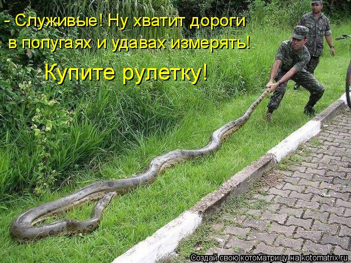 - Служивые! Ну хватит дороги в попугаях и удавах измерять! Купите рулетку!... Котоматрица: - Служивые! Ну хватит дороги в попугаях и удавах измерять! Купите рулетку!