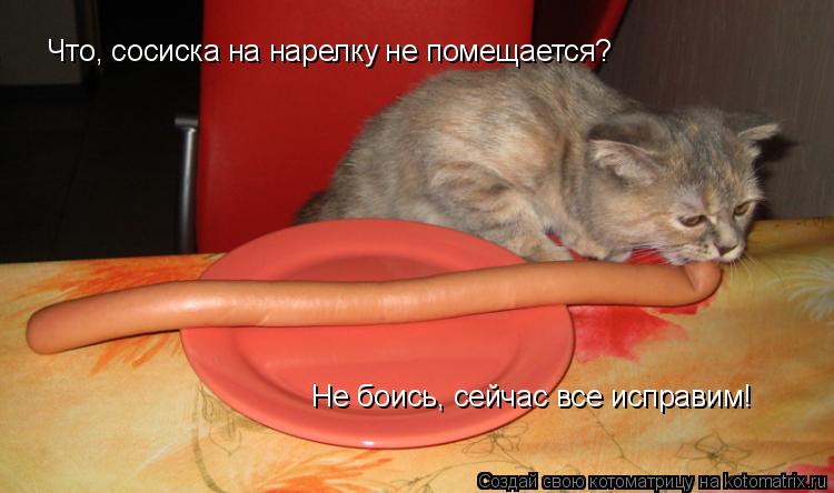 Что, сосиска на нарелку не помещается? Не боись, сейчас все исправим!... Котоматрица: Что, сосиска на нарелку не помещается? Не боись, сейчас все исправим!