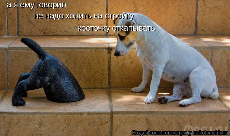 а я ему говорил не надо ходить на стройку косточку откапывать... Котоматрица: а я ему говорил не надо ходить на стройку косточку откапывать
