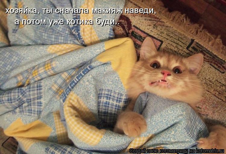 хозяйка, ты сначала макияж наведи, а потом уже котика буди..... Котоматрица: хозяйка, ты сначала макияж наведи, а потом уже котика буди..