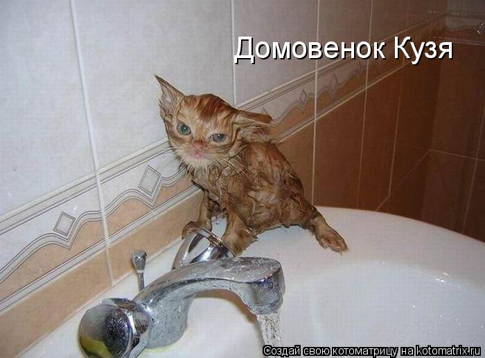 Домовенок Кузя... Котоматрица: Домовенок Кузя