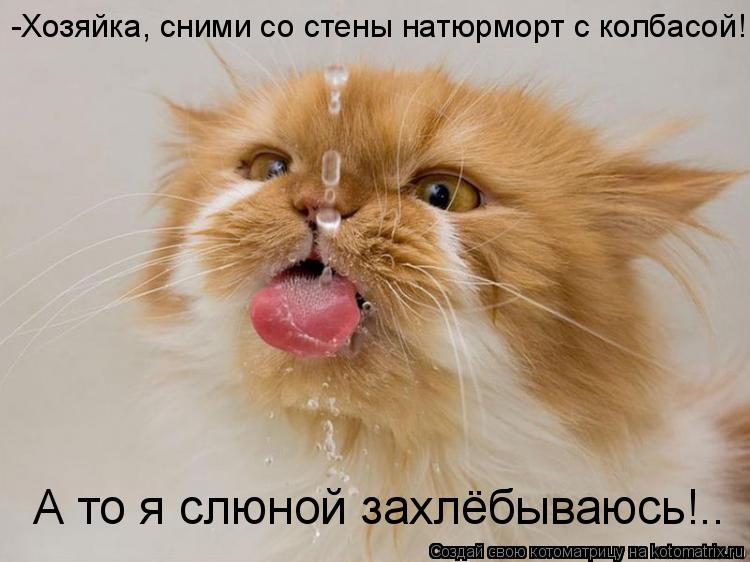 -Хозяйка, сними со стены натюрморт с колбасой! А то я слюной захлёбываюсь!..... Котоматрица: -Хозяйка, сними со стены натюрморт с колбасой! А то я слюной захлёбываюсь!..