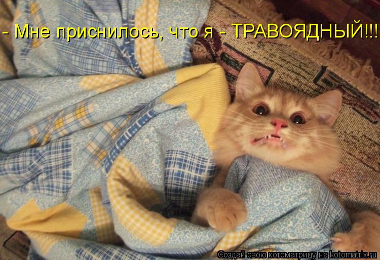 - Мне приснилось, что я - ТРАВОЯДНЫЙ!!!... Котоматрица: - Мне приснилось, что я - ТРАВОЯДНЫЙ!!!