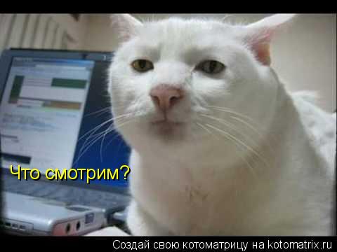 Котоматрица: Что смотрим?