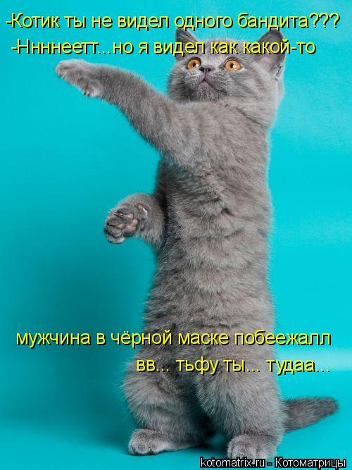 Котоматрица: -Котик ты не видел одного бандита??? -Ннннеетт...но я видел как какой-то мужчина в чёрной маске побеежалл вв... тьфу ты... тудаа...
