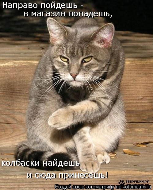 Котоматрица: Направо пойдешь - в магазин попадешь, колбаски найдешь и сюда принесешь!