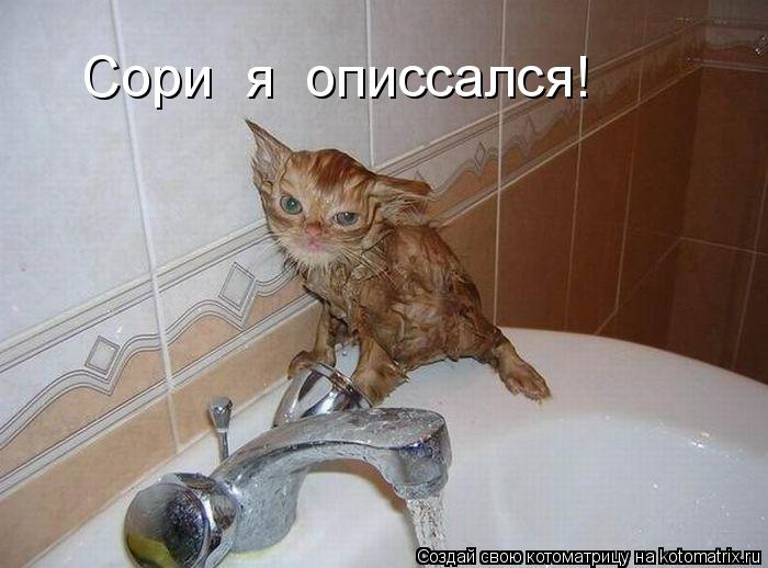 Сори я описсался!... Котоматрица: Сори я описсался!