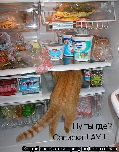 Сосиска!! АУ!!! Ну ты где?... Котоматрица: Сосиска!! АУ!!! Ну ты где?