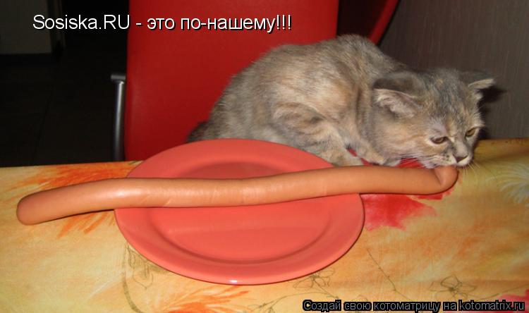 Sosiska.RU - это по-нашему!!!... Котоматрица: Sosiska.RU - это по-нашему!!!
