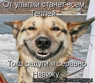 От улыпки станет всем Теплей Токо радуги я серавно Невижу... Котоматрица: От улыпки станет всем Теплей Токо радуги я серавно Невижу