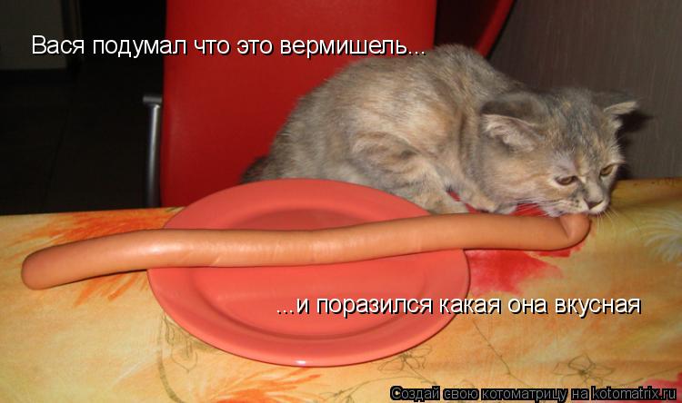 Вася подумал что это вермишель... ...и поразился какая она вкусная... Котоматрица: Вася подумал что это вермишель... ...и поразился какая она вкусная