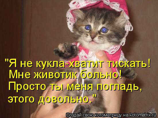"Я не кукла-хватит тискать! Мне животик больно! Просто ты меня погладь, этого довольно."... Котоматрица: "Я не кукла-хватит тискать! Мне животик больно! Просто ты меня погладь, этого довольно."