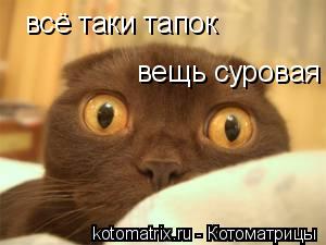 всё таки тапок вещь суровая... Котоматрица: всё таки тапок вещь суровая
