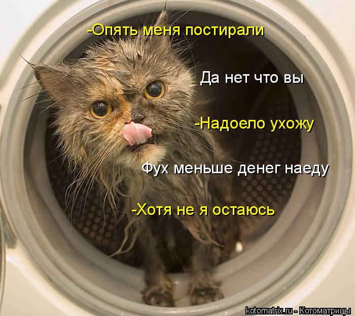 -Опять меня постирали Да нет что вы -Надоело ухожу Фух меньше денег наеду -Хотя не я остаюсь... Котоматрица: -Опять меня постирали Да нет что вы -Надоело ухожу Фух меньше денег наеду -Хотя не я остаюсь