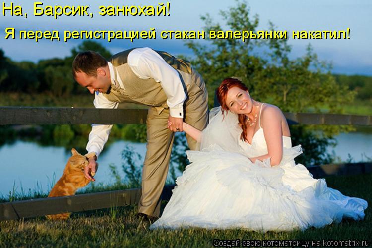 На, Барсик, занюхай! Я перед регистрацией стакан валерьянки накатил!... Котоматрица: На, Барсик, занюхай! Я перед регистрацией стакан валерьянки накатил!