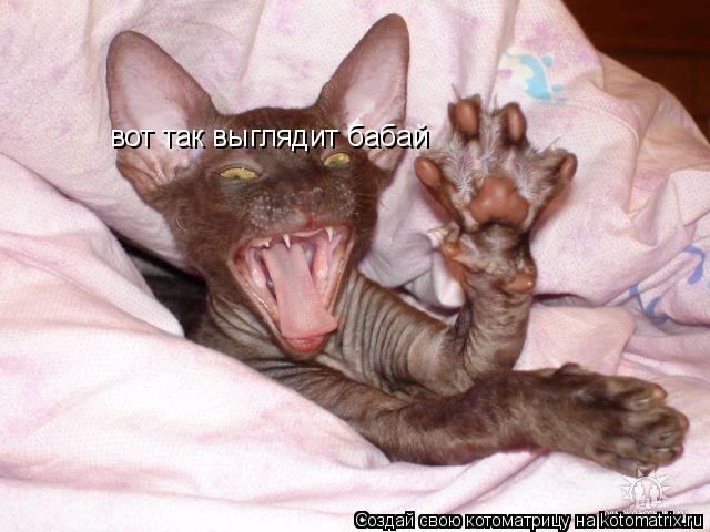 вот так выглядит бабай... Котоматрица: вот так выглядит бабай