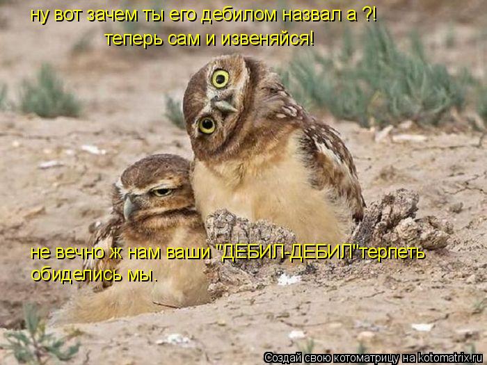 ну вот зачем ты его дебилом назвал а ?! теперь сам и извеняйся! не вечно ж нам ваши "ДЕБИЛ-ДЕБИЛ"терп... Котоматрица: ну вот зачем ты его дебилом назвал а ?! теперь сам и извеняйся! не вечно ж нам ваши "ДЕБИЛ-ДЕБИЛ"терпеть обиделись мы.