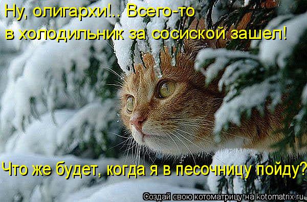 Ну, олигархи!.. Всего-то в холодильник за сосиской зашел! Что же будет, когда я в песочницу пойду?!... Котоматрица: Ну, олигархи!.. Всего-то в холодильник за сосиской зашел! Что же будет, когда я в песочницу пойду?!