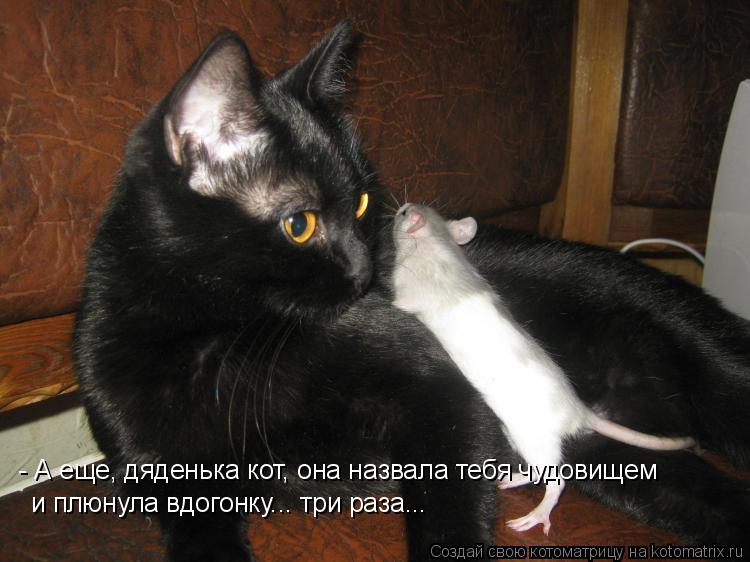 - А еще, дяденька кот, она назвала тебя чудовищем и плюнула вдогонку... три раза...... Котоматрица: - А еще, дяденька кот, она назвала тебя чудовищем и плюнула вдогонку... три раза...