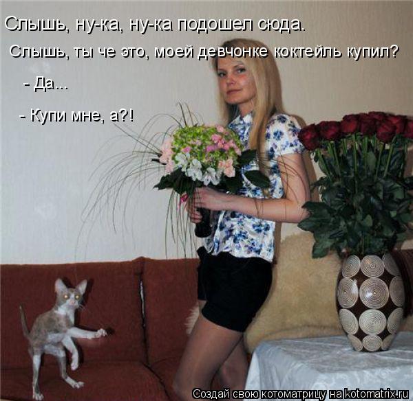 Слышь, ну-ка, ну-ка подошел сюда… Слышь, ты че это, моей девчонке коктейль купил? - Да... - Купи ... Котоматрица: Слышь, ну-ка, ну-ка подошел сюда… Слышь, ты че это, моей девчонке коктейль купил? - Да... - Купи мне, а?!