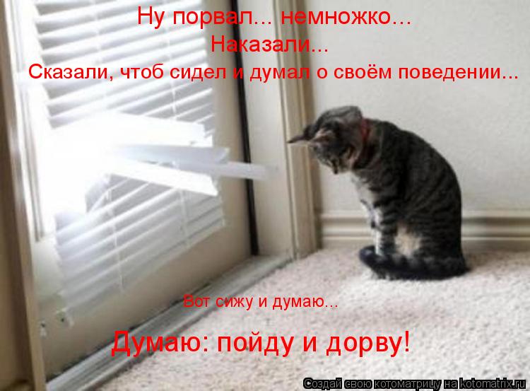Вот сижу и думаю... Ну порвал... немножко... Наказали... Сказали, чтоб сидел и думал о своём поведени... Котоматрица: Вот сижу и думаю... Ну порвал... немножко... Наказали... Сказали, чтоб сидел и думал о своём поведении... Думаю: пойду и дорву!