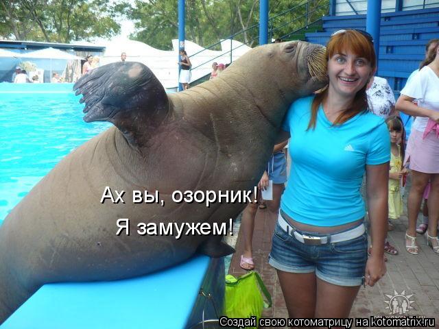 Ах вы, озорник! Я замужем!... Котоматрица: Ах вы, озорник! Я замужем!