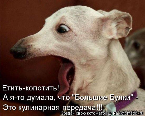 Етить-колотить! А я-то думала, что "Большие Булки" - Это кулинарная передача!!!... Котоматрица: Етить-колотить! А я-то думала, что "Большие Булки" - Это кулинарная передача!!!