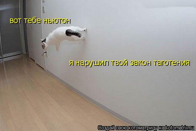 вот тебе ньютон я нарушил твой закон таготения... Котоматрица: вот тебе ньютон я нарушил твой закон таготения