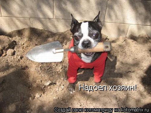 Надоел хозяин!... Котоматрица: Надоел хозяин!