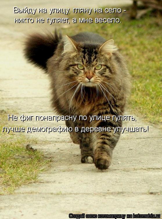Выйду на улицу, гляну на село - никто не гуляет, а мне весело. Не фиг понапрасну по улице гулять, ... Котоматрица: Выйду на улицу, гляну на село - никто не гуляет, а мне весело. Не фиг понапрасну по улице гулять, лучше демографию в деревне улучшать!