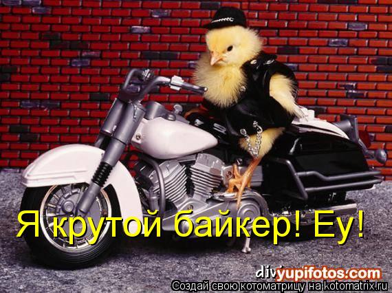 Я крутой байкер! Еу!... Котоматрица: Я крутой байкер! Еу!