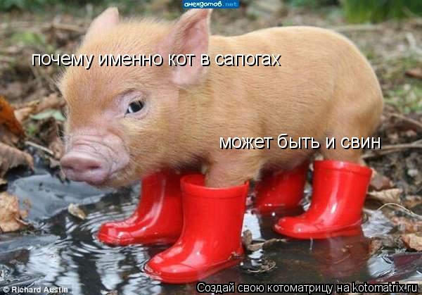 может быть и свин почему именно кот в сапогах... Котоматрица: может быть и свин почему именно кот в сапогах