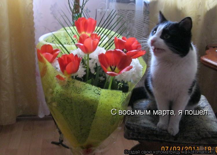 С восьмым марта, я пошел.... Котоматрица: С восьмым марта, я пошел.