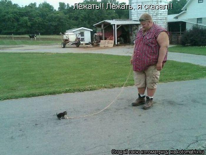 Лежать!! Лежать, я сказал!!... Котоматрица: Лежать!! Лежать, я сказал!!